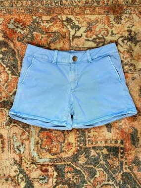 American Eagle Outfitters Light Blue Women's Shorts